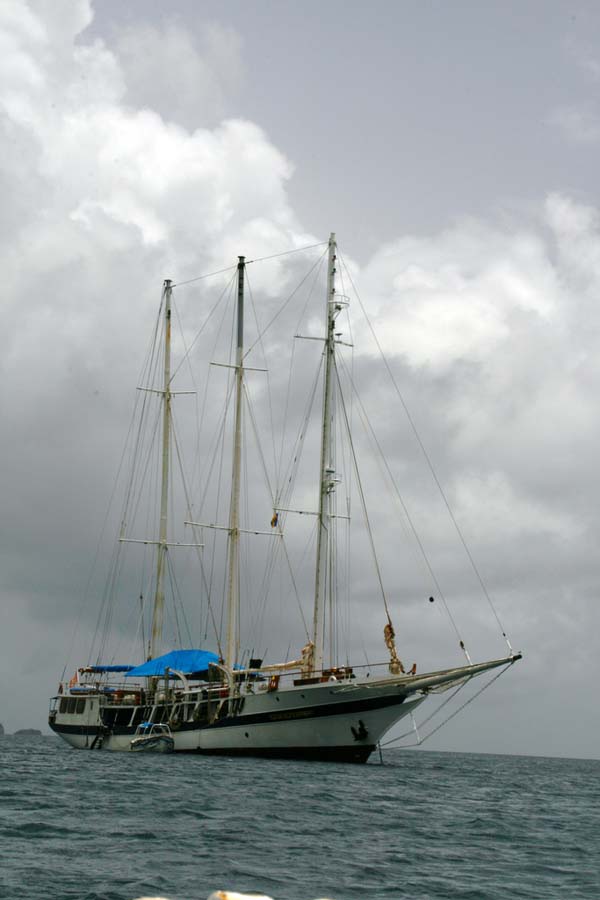 https://www.globalcruiseship.com/image/cruiseship/sv-yankee-clipper-1.jpg
